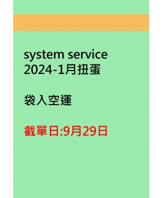system service2024-1月扭蛋